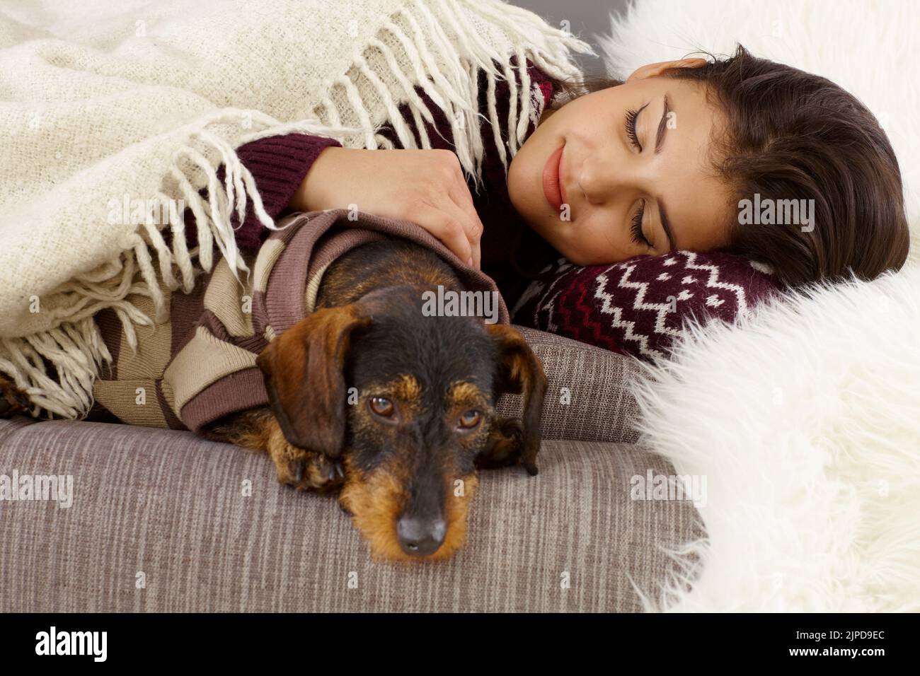 What Do Dachshund Like To Sleep On