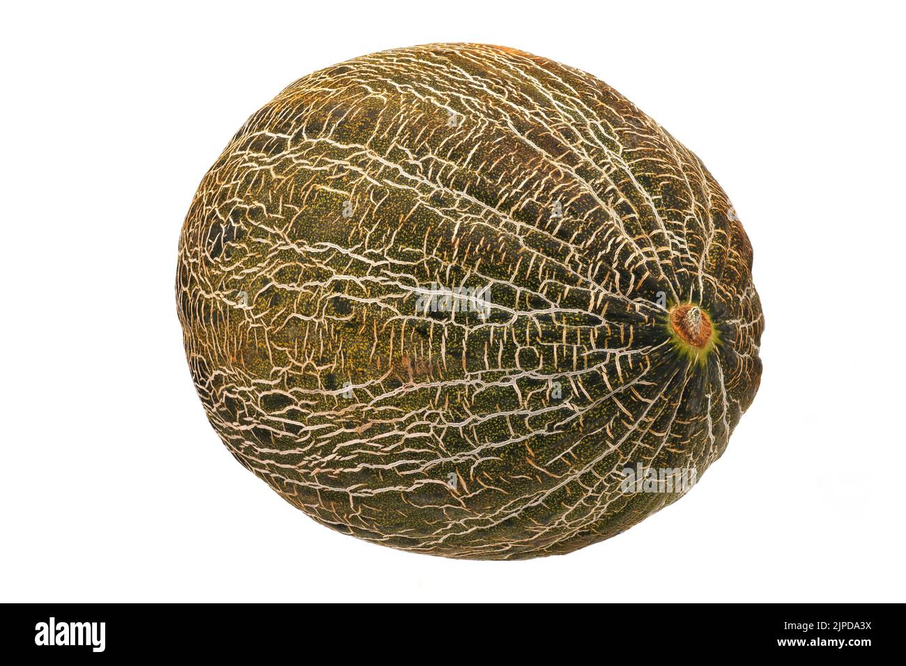 Muskmel melon, muskmelon, piel de sapo, melons, muskmelons Stock Photo - Alamy