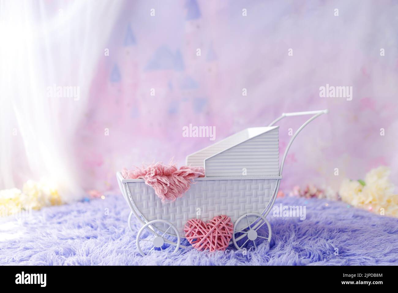 Newborn digital backdrop with flowers Stock Photo