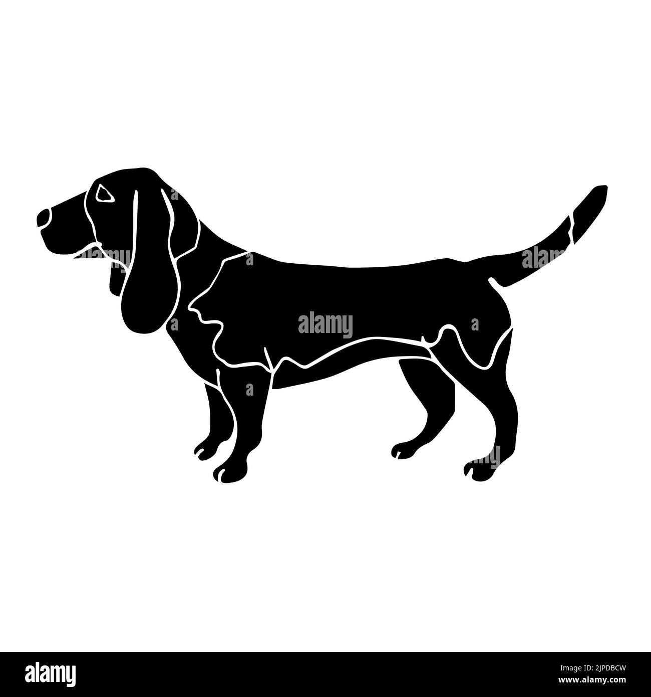 Vector hand drawn black basset hound dog Stock Vector Image & Art - Alamy