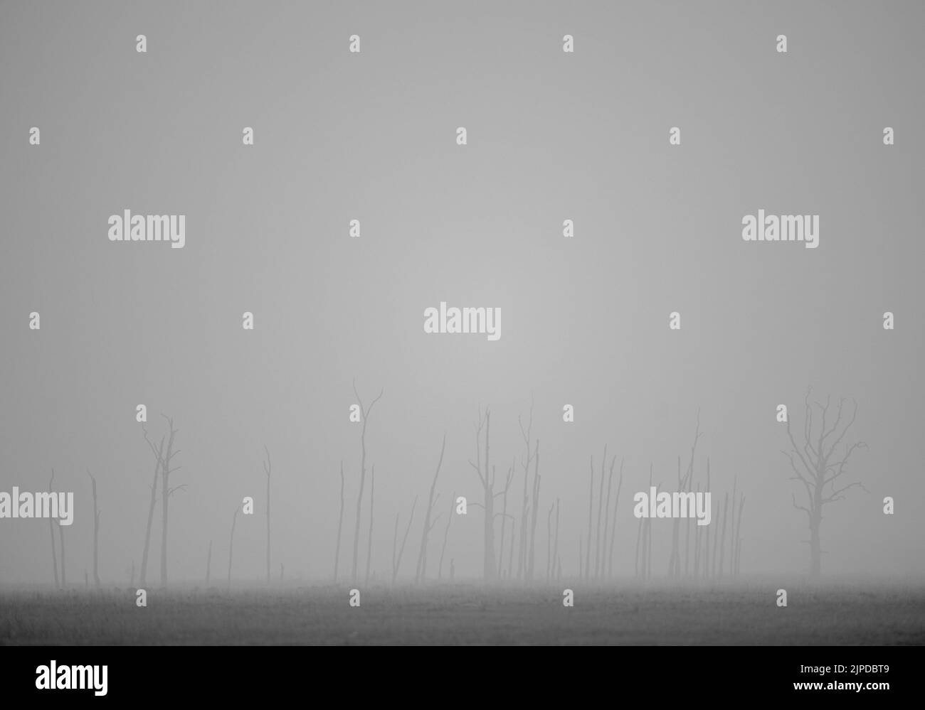 Hazy silhouette Black and White Stock Photos & Images - Alamy