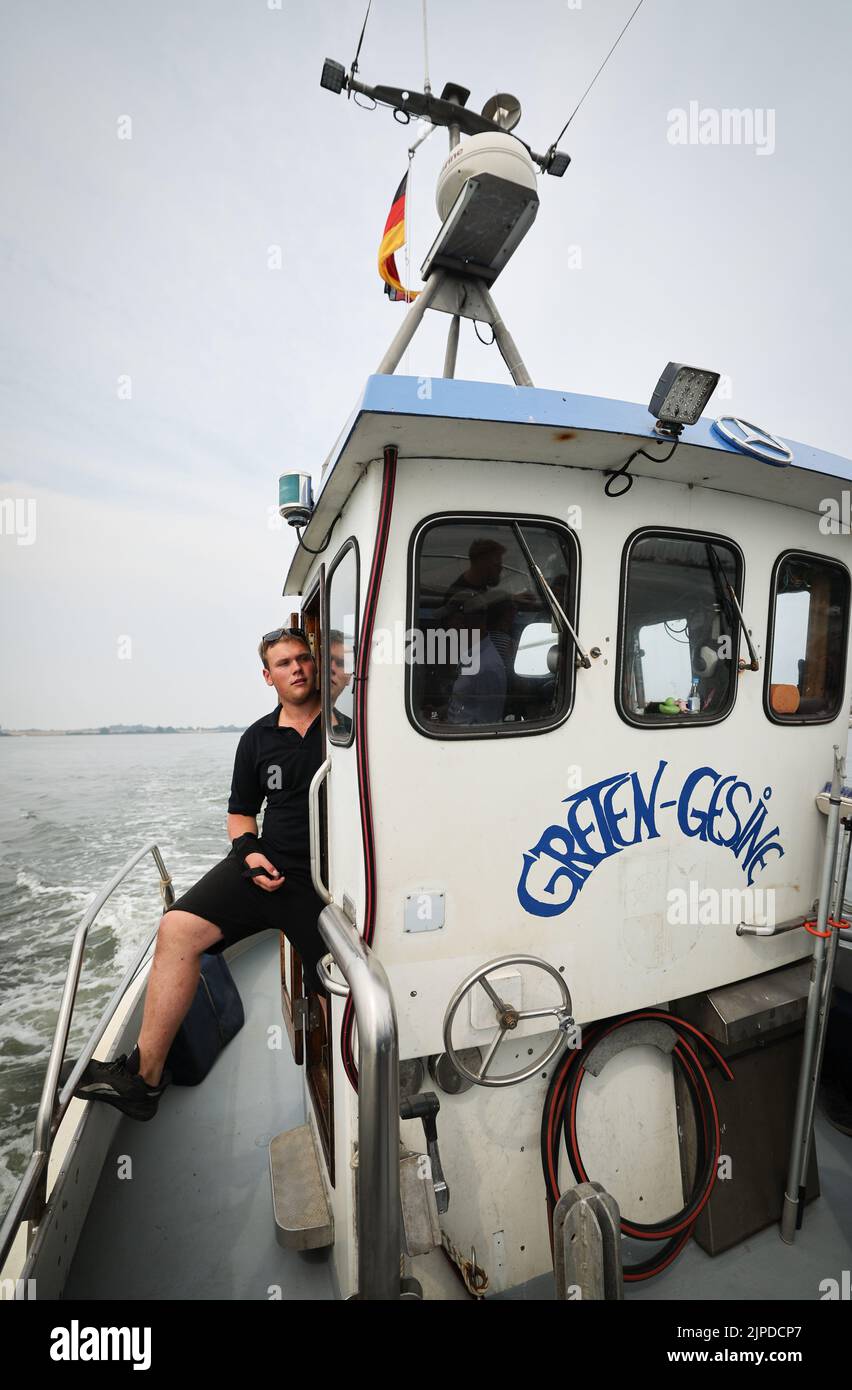 Maasholm, Germany. 17th Aug, 2022. Max Riegert, captain on the fishing cutter 'Greten-Gesine' sails his cutter on the Schlei during the '13th Aalutsetten in de Schlie'. The Schleifischer released about 108,000 young eels into the Schlei during the traditional 13th 'Aalutsetten' on Wednesday. Credit: Christian Charisius/dpa/Alamy Live News Stock Photo