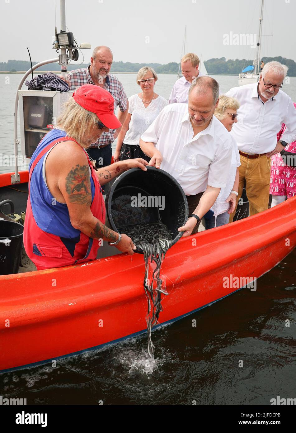 Maasholm, Germany. 17th Aug, 2022. Werner Schwarz (CDU), Minister for Agriculture, Rural Areas, Europe and Consumer Protection in Schleswig-Holstein, and Armin Lass (l), captain, release young eels into the Schlei alongside Peter-Harry Carstensen (CDU, r), former Minister President of Schleswig-Holstein. The Schleifischer released around 108,000 young eels into the Schlei during the traditional 13th 'Aalutsetten' on Wednesday. Credit: Christian Charisius/dpa/Alamy Live News Stock Photo