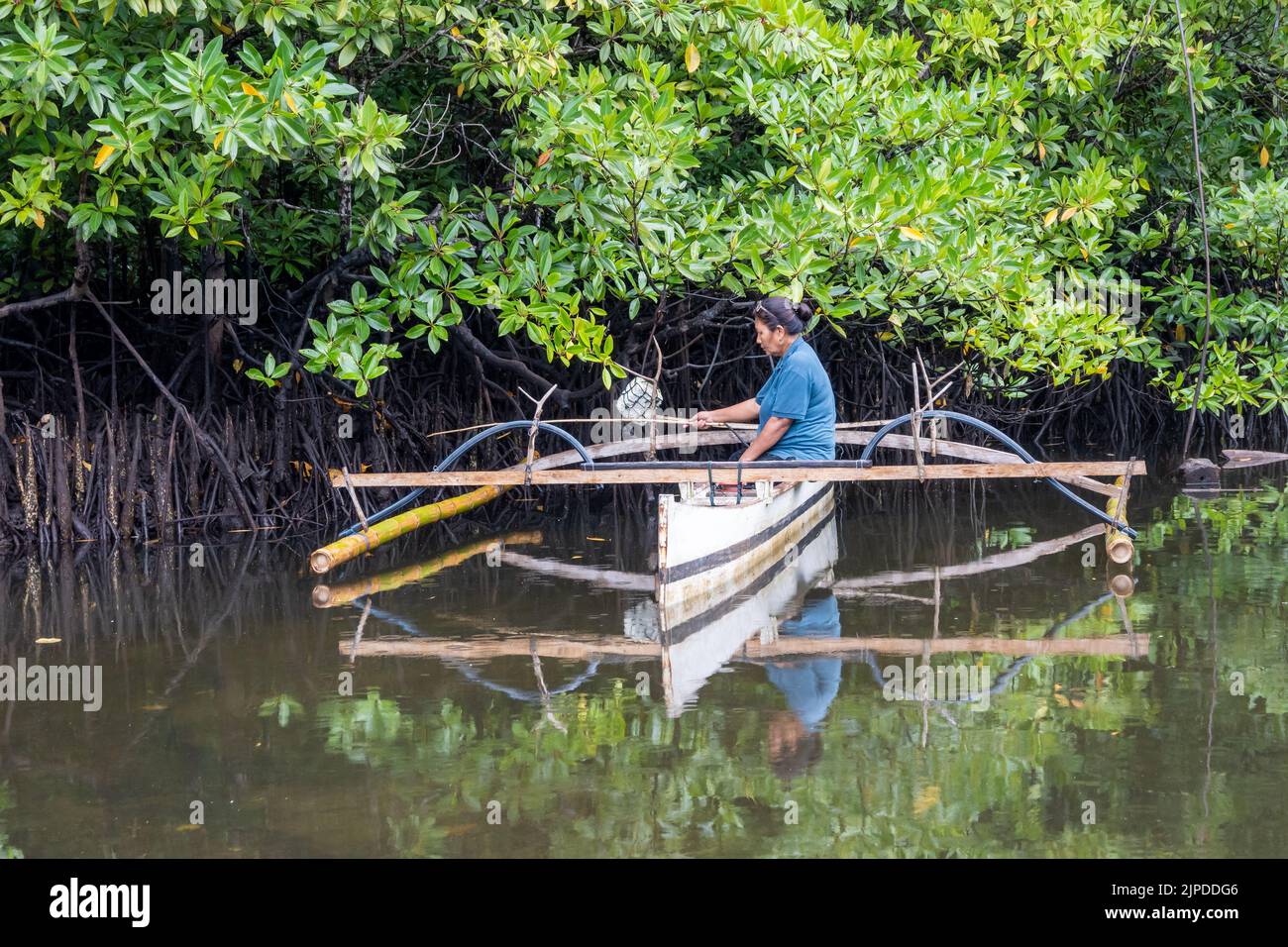 An Indonesia woman fishing from an outrigger canoe in mangrove forest. Sulawesi, Indonesia. Stock Photo