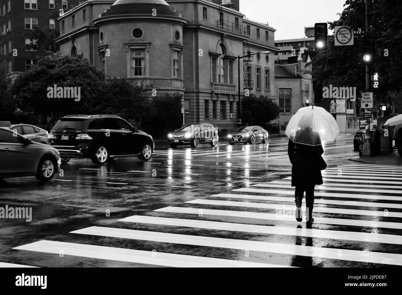 Lone pedestrian crossing street in DC with a bubble umbrella in the