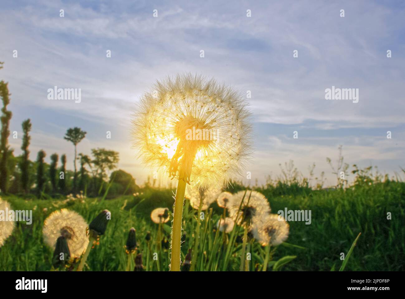 Round sun with rays hi-res stock photography and images - Alamy