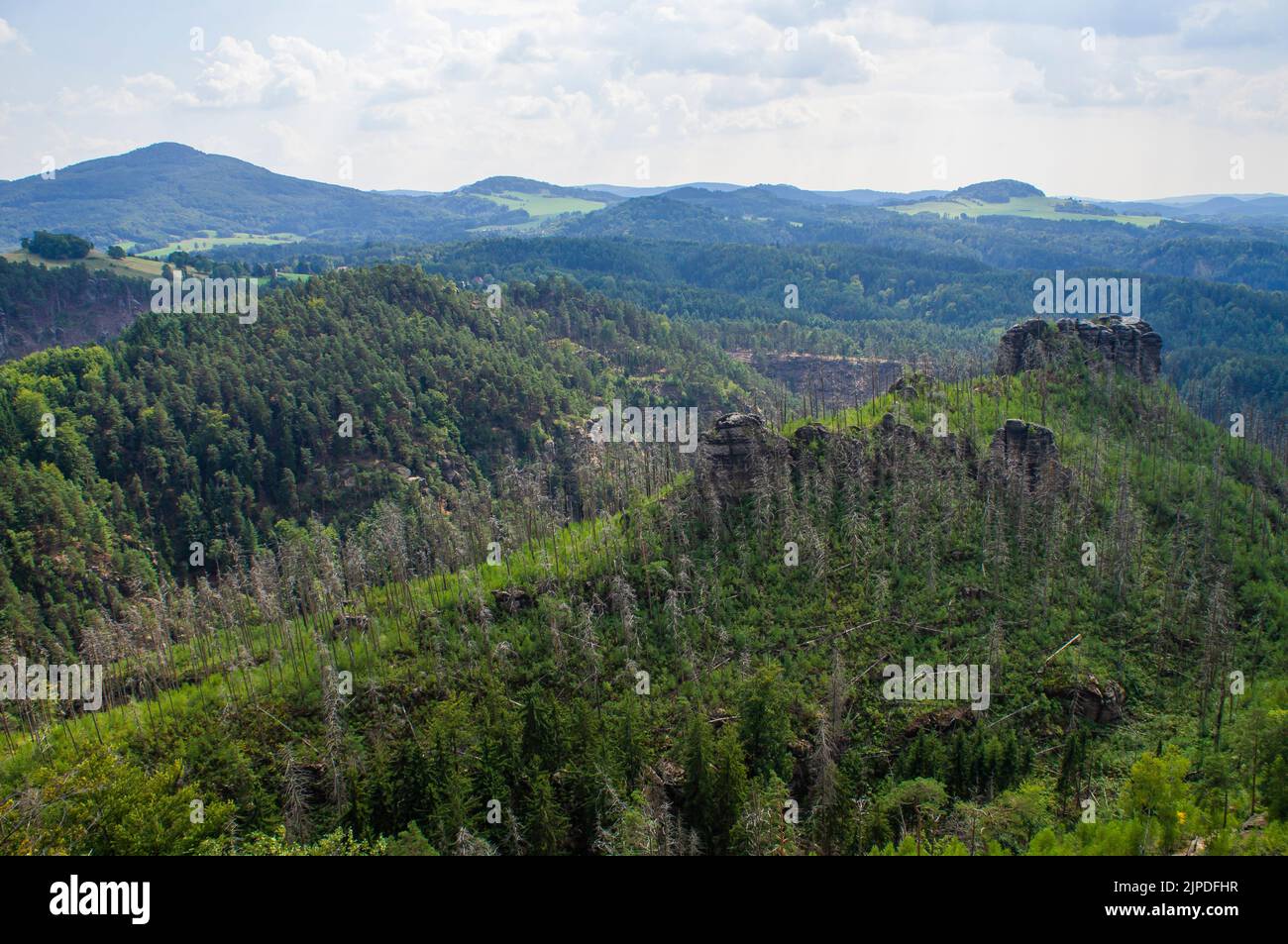 ***2013 FILE PHOTO***  In 2006, on 22 July, a week-long forest fire occurred on Havrani Hill near Jetrichovice in the Bohemian Switzerland National Pa Stock Photo