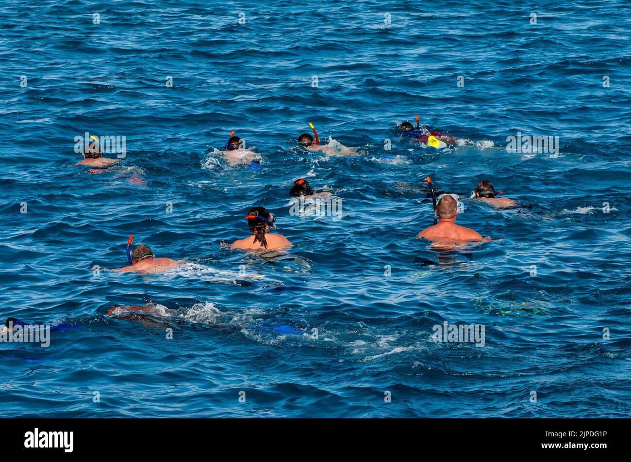 snorkeling, holidaymakers, red sea, snorkel, snorkling, holidaymaker, red seas Stock Photo