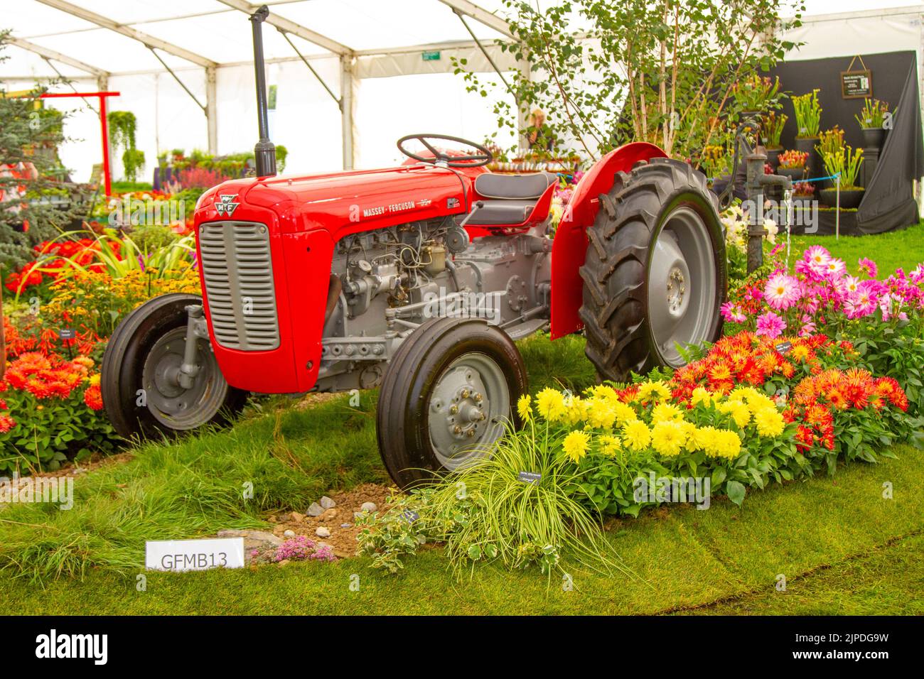 Southport Flower Show, Merseyside, UK. 18th Aug 2022:  James Comish restored 1964 Massey Ferguson 65 3.3 Litre 4-Cyl Diesel Tractor a Gold Medal Winning display at the largest independent flower show in England, which is expecting thousands of visitors over the four-day event as it opened today after a two-year Covid closure.  Credit: MediaWorld Images/Alamy Live News Stock Photo