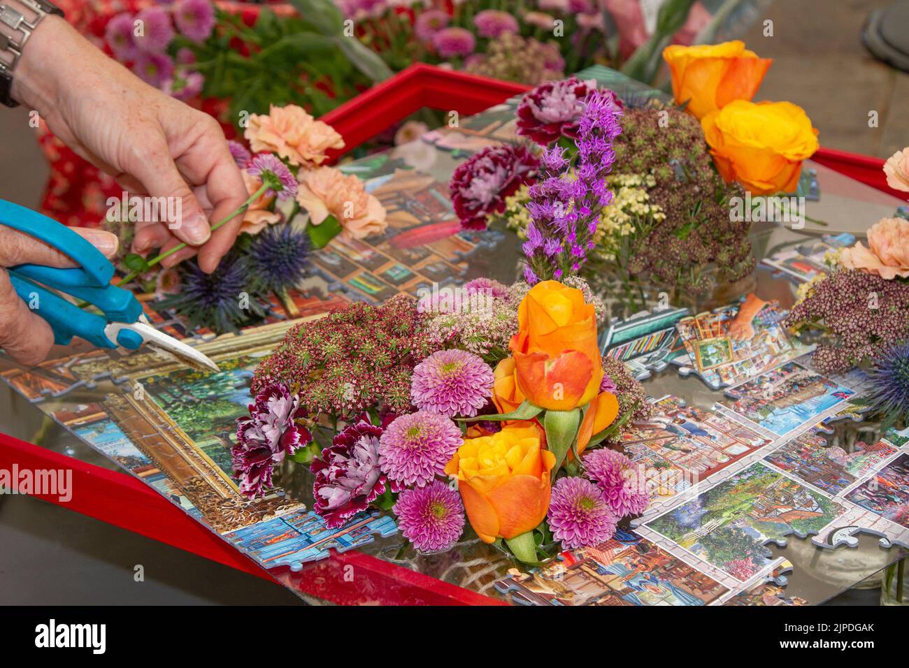 Southport Flower Show, Merseyside, UK. 17th Aug 2022:  The largest independent flower show in England, is expecting thousands of visitors over the four day event.  Credit:  MediaWorld Images/Alamy Live News Stock Photo