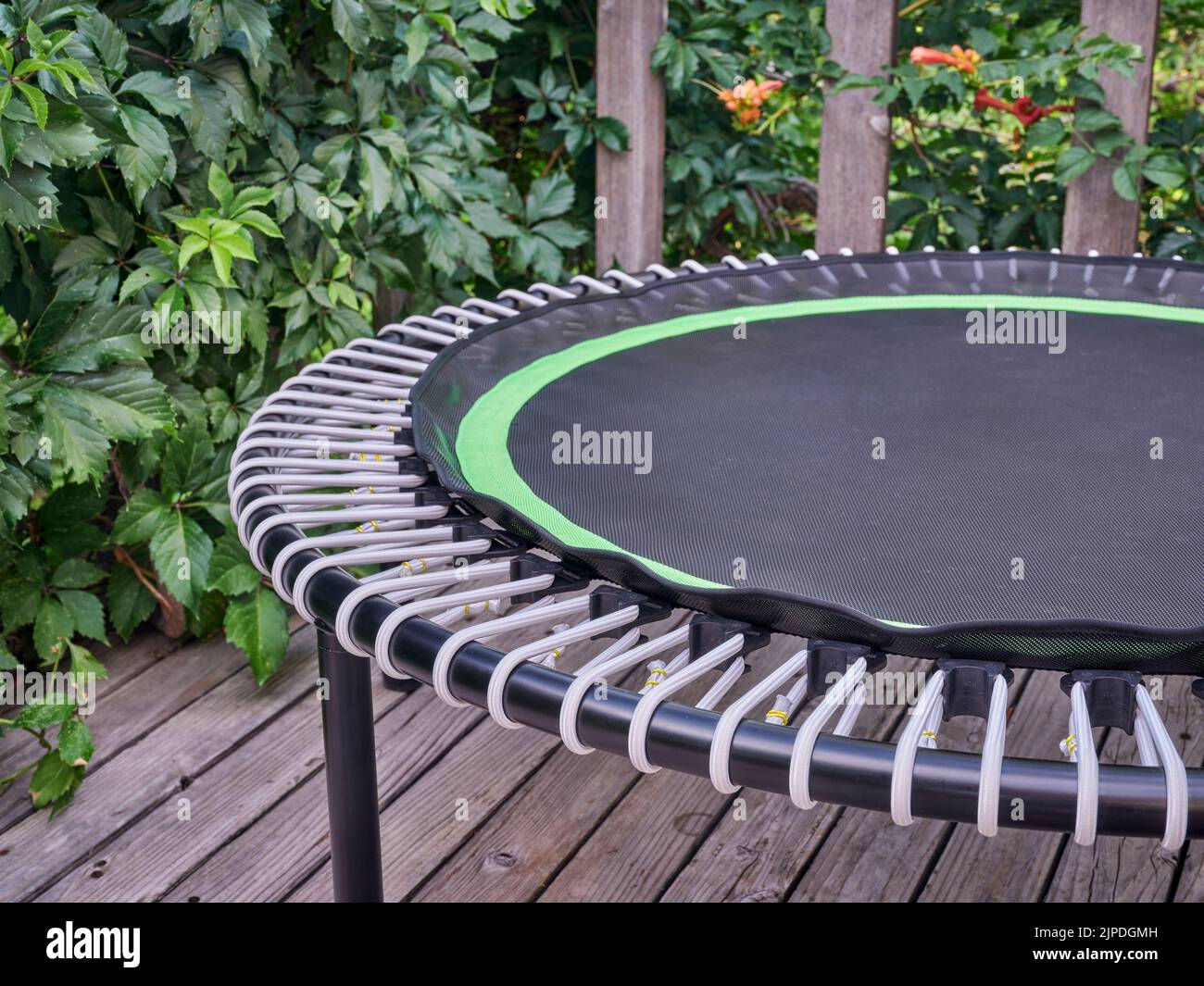 detail of mini trampoline for fitness exercising and rebounding in a backyard patio Stock Photo