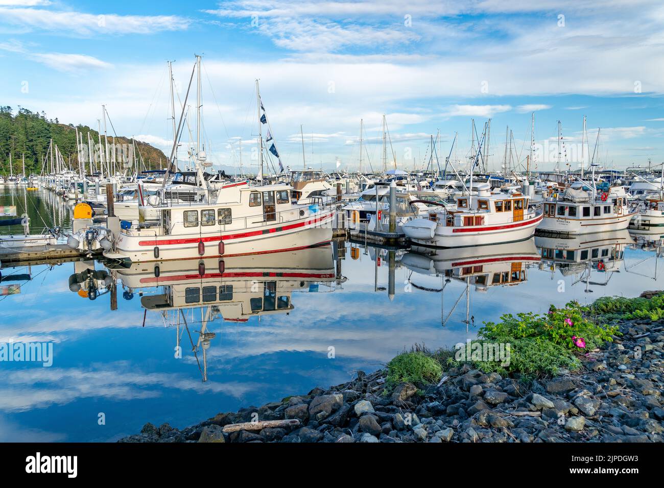 Port anacortes cap sante hi-res stock photography and images - Alamy