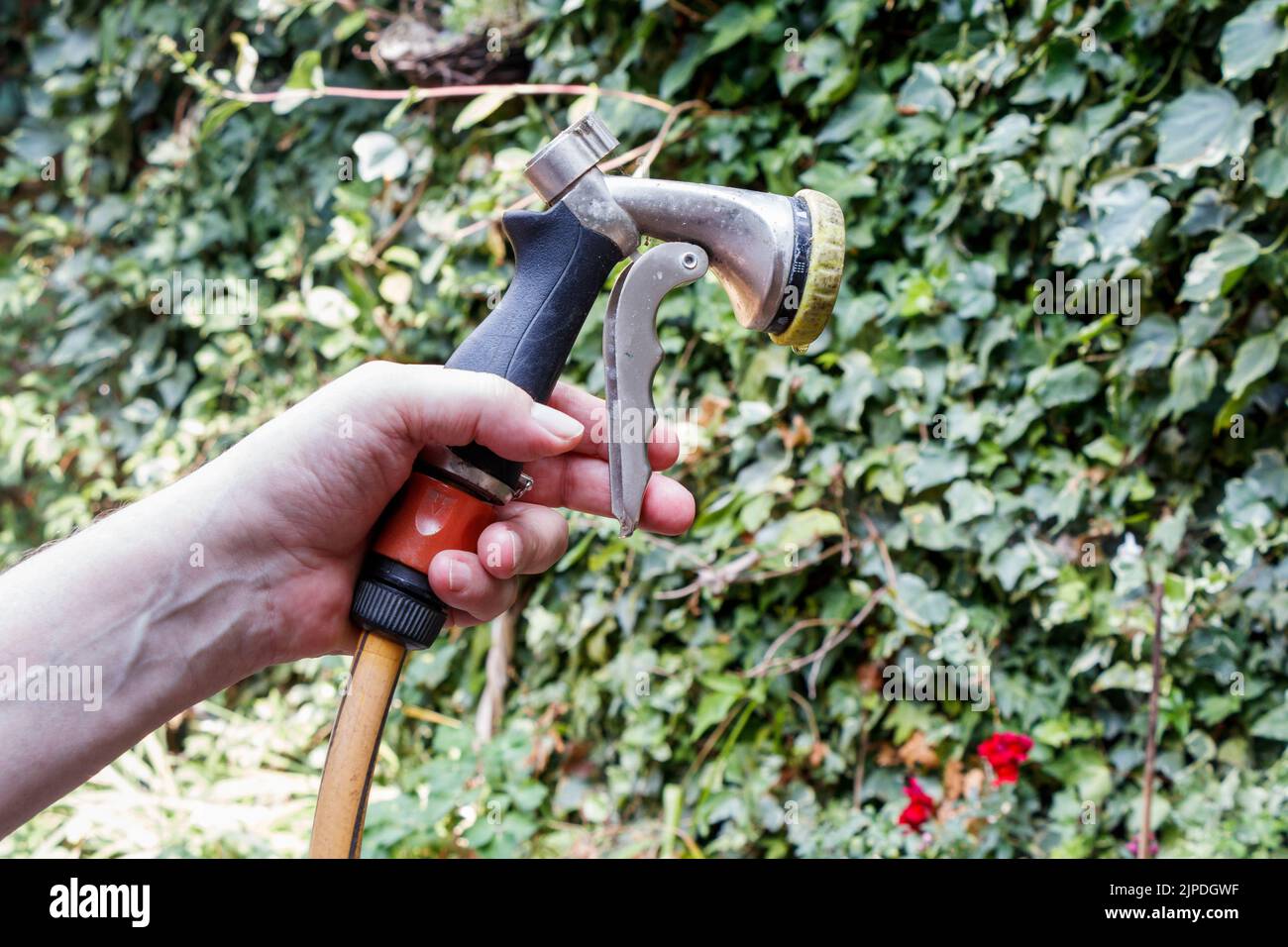 Hosepipe bans are introduced in parts of the UK as temperatures reach