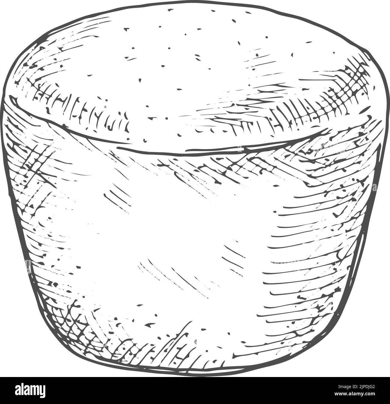 Bread with caraway seeds, round loaf drawn sketch. Vector rye round