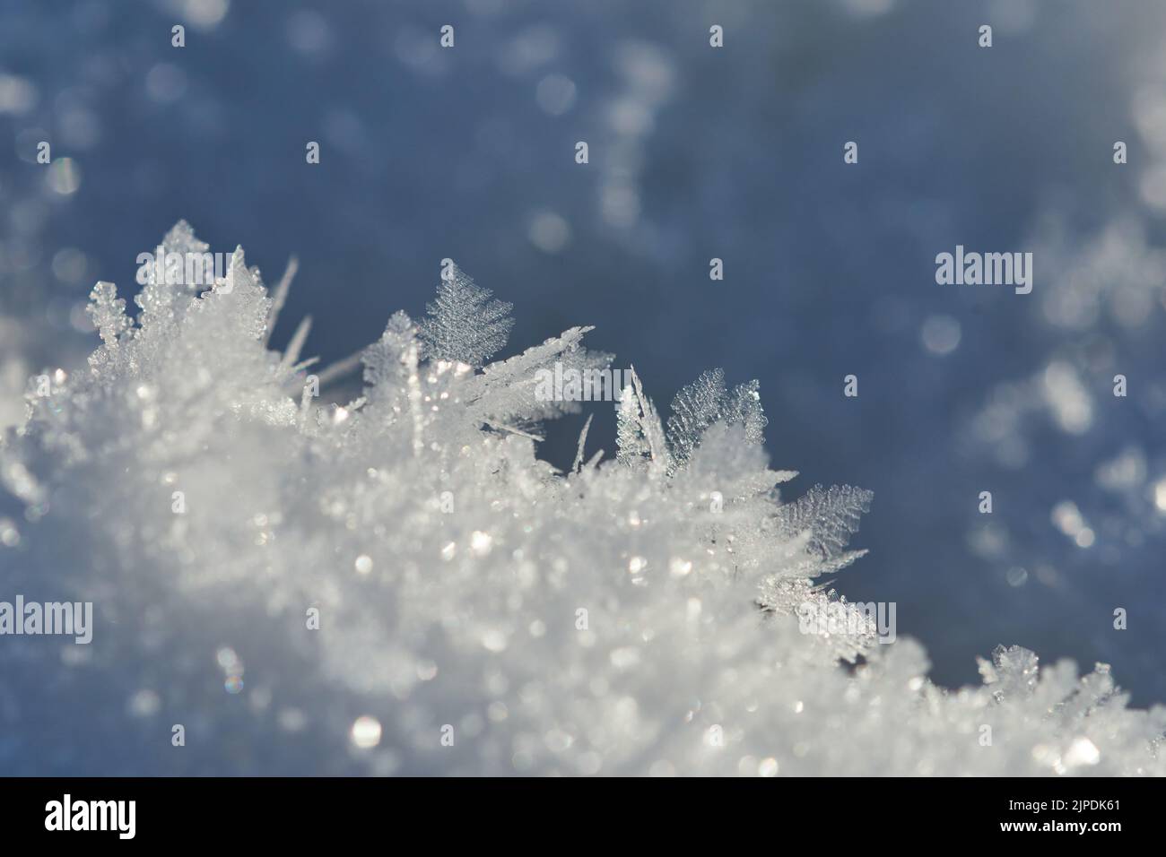 Snowfleck Snowflake ice macro hi-res stock photography and images - Alamy