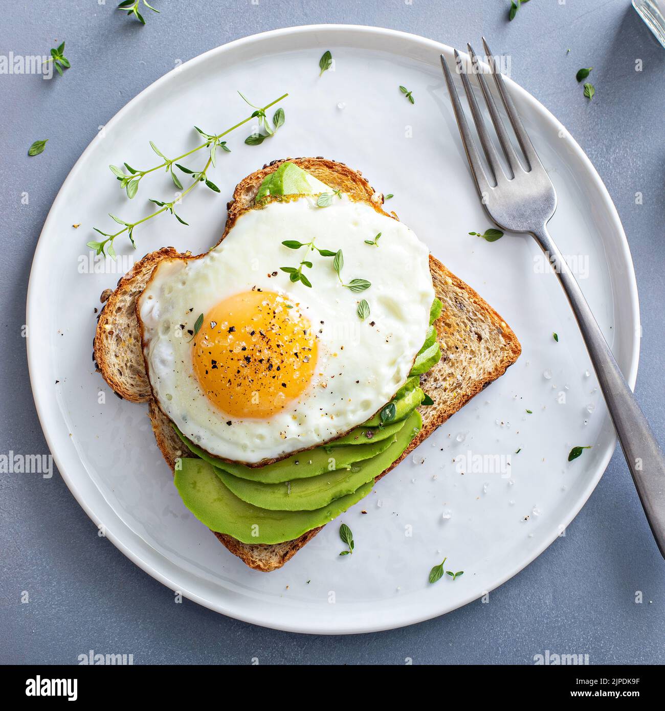 Avocado toast on a toasted multigrain bread with a fried egg Stock