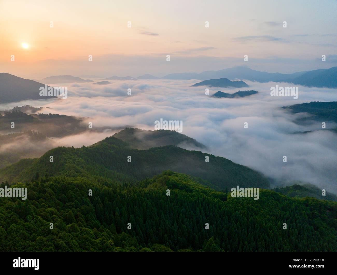 Sunrise over sea of clouds in mountains around historic Takeda Castle ...