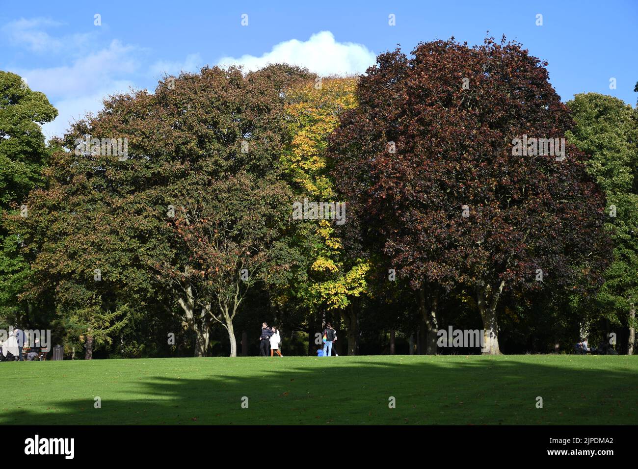 Autumn in Kilkenny Castle Park, Kilkenny, Ireland Stock Photo