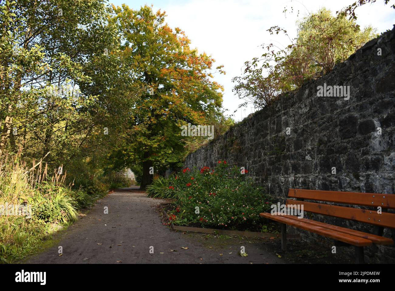 Trees in kilkenny castle park hi-res stock photography and images - Alamy