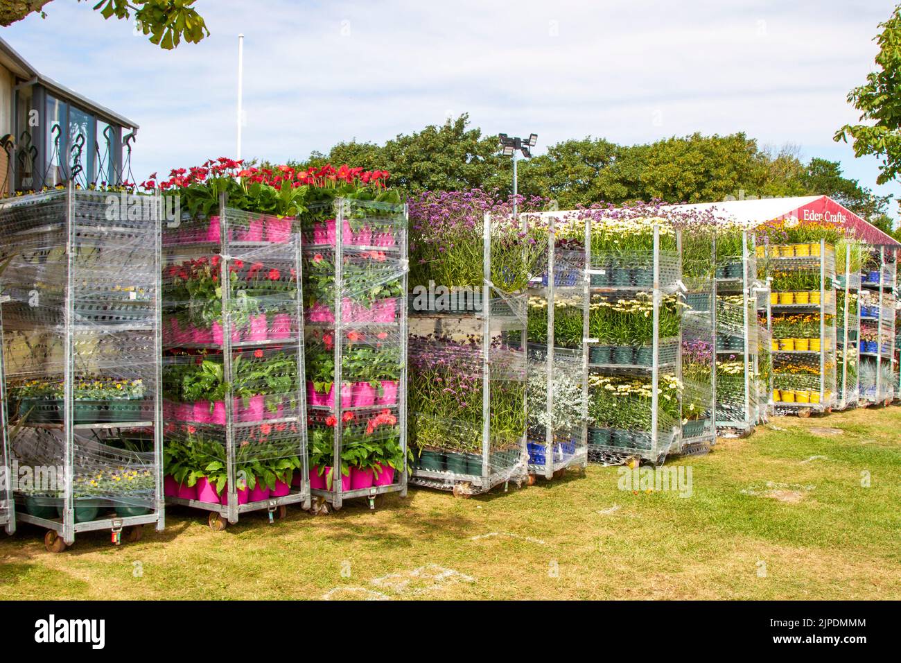 Stacked floral exhibits on garden centre plant container type trolley at Southport Flower Show, Merseyside, UK. Aug 2022:. The largest independent flower show in England is expecting thousands of visitors over the four-day horticultural event. Stock Photo