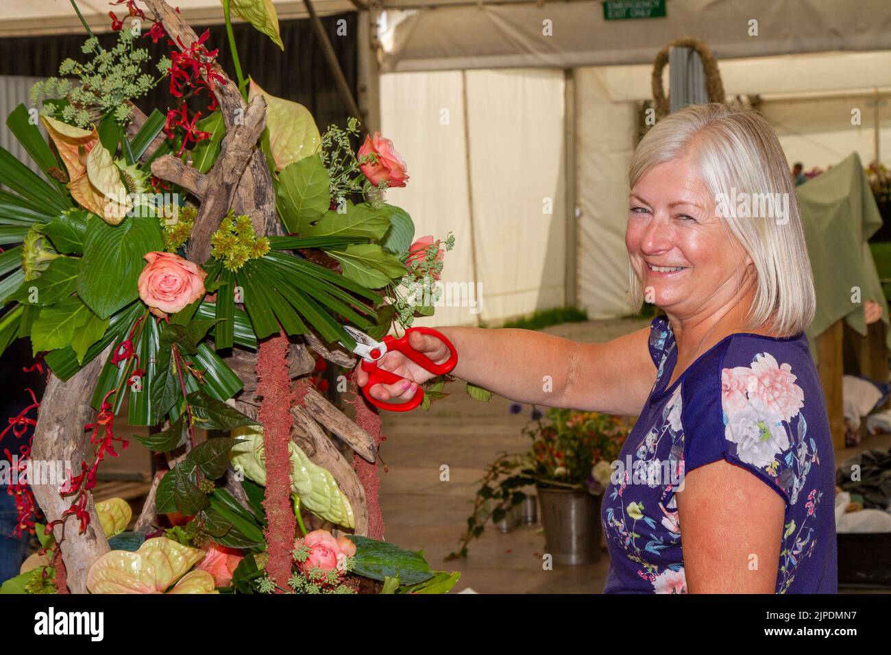 Catherine Baines ' Floral Art' with her display at the largest independent flower show in England, which is expecting thousands of visitors over the four-day event.  Credit:  MediaWorld Images/Alamy Live News Stock Photo