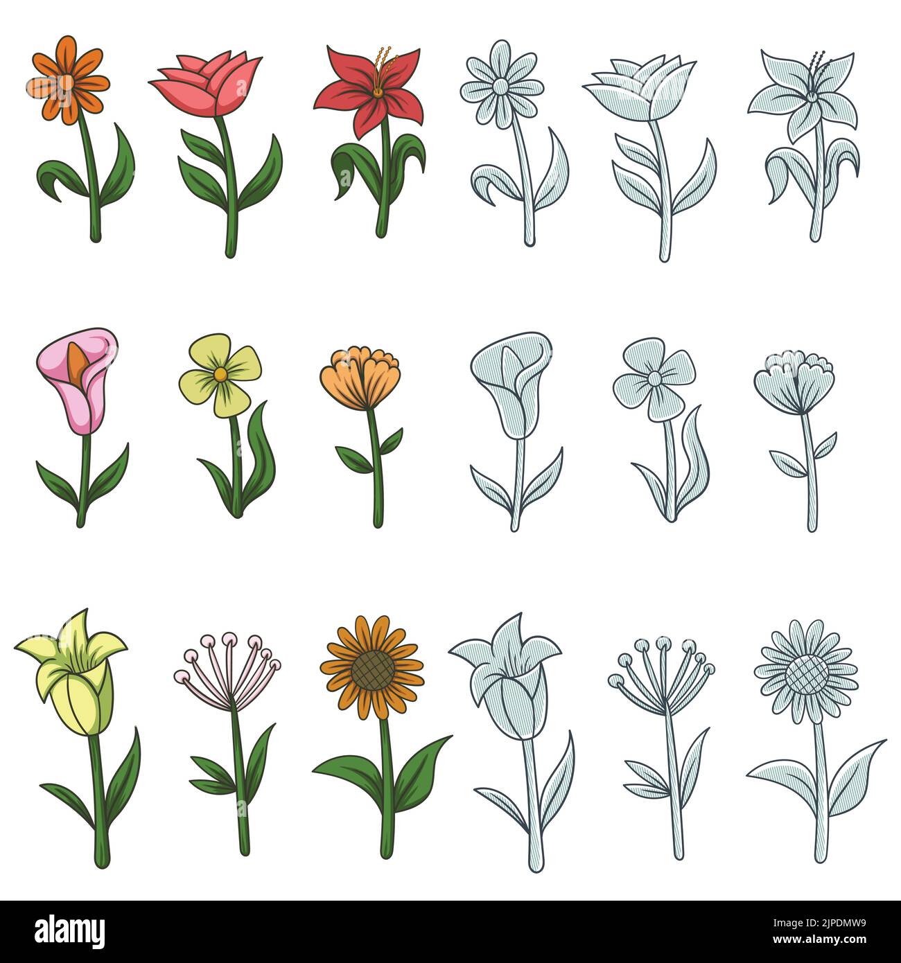 Flower nature elements decoration vector illustration Stock Vector