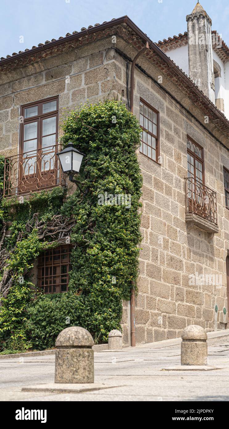 Tree Wrapped Around Building The tree wrapped around the old castle in Guimaraes, Portugal Stock ...