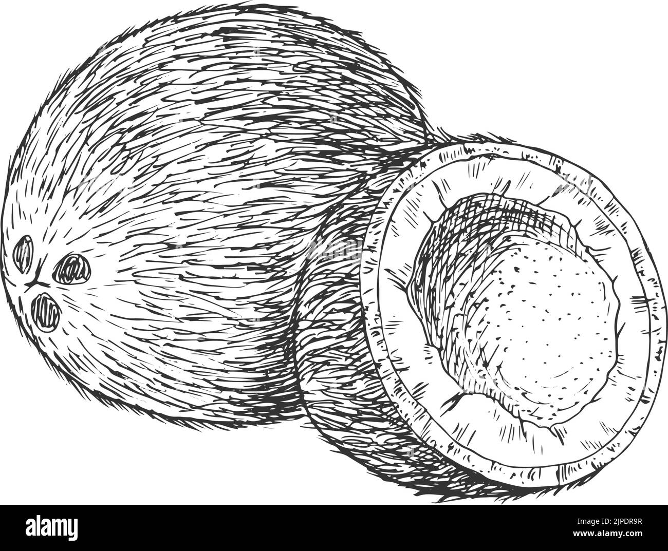 Oil palm harvest Stock Vector Images Alamy