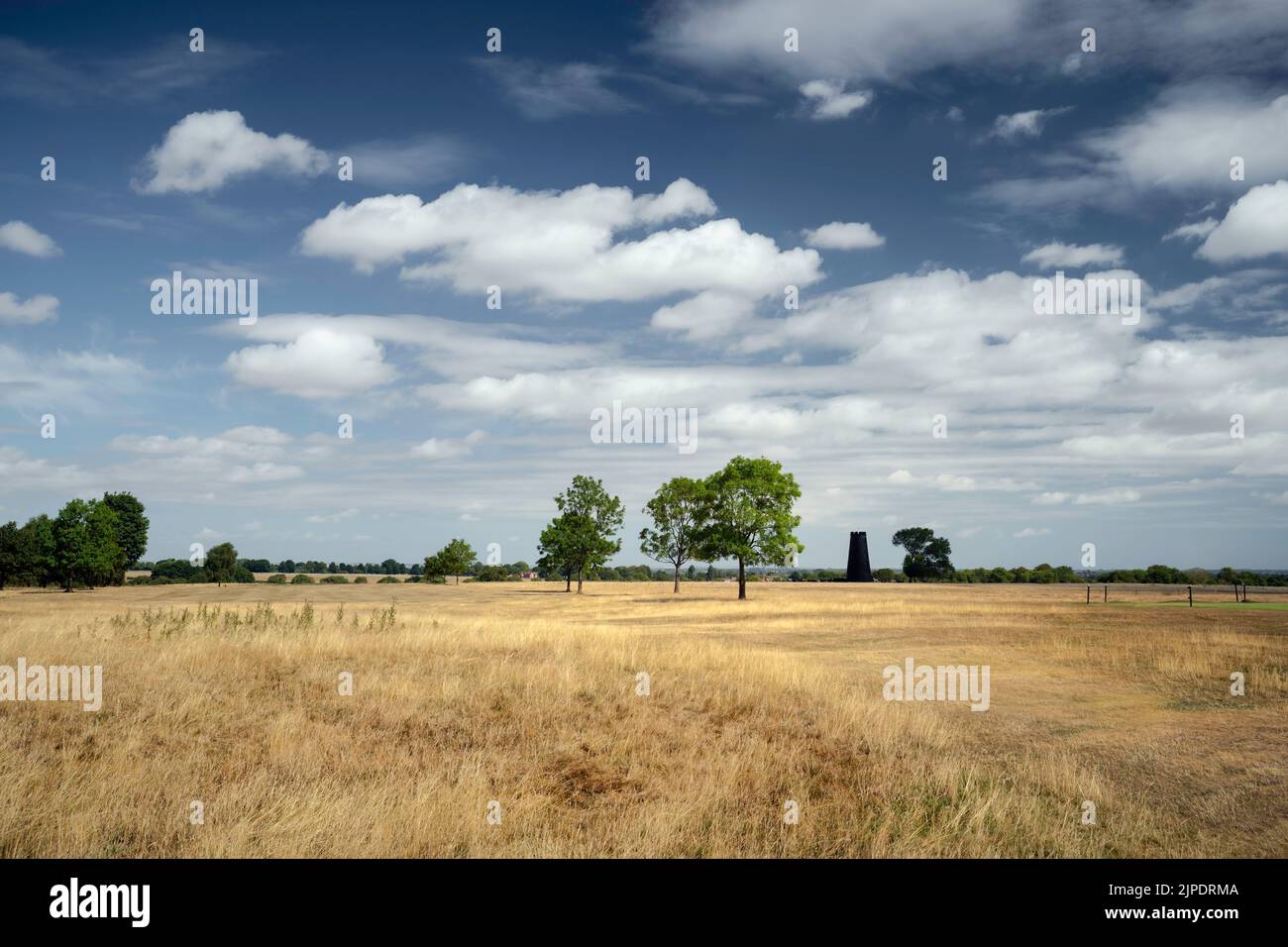Golf course covered in dry grassland and few trees and disused mill on horizon during heatwave all under clear blue sky in summer in Beverley, UK. Stock Photo