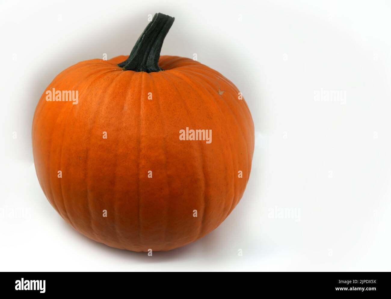 An orange pumpkin against a white background with space for your own text Stock Photo
