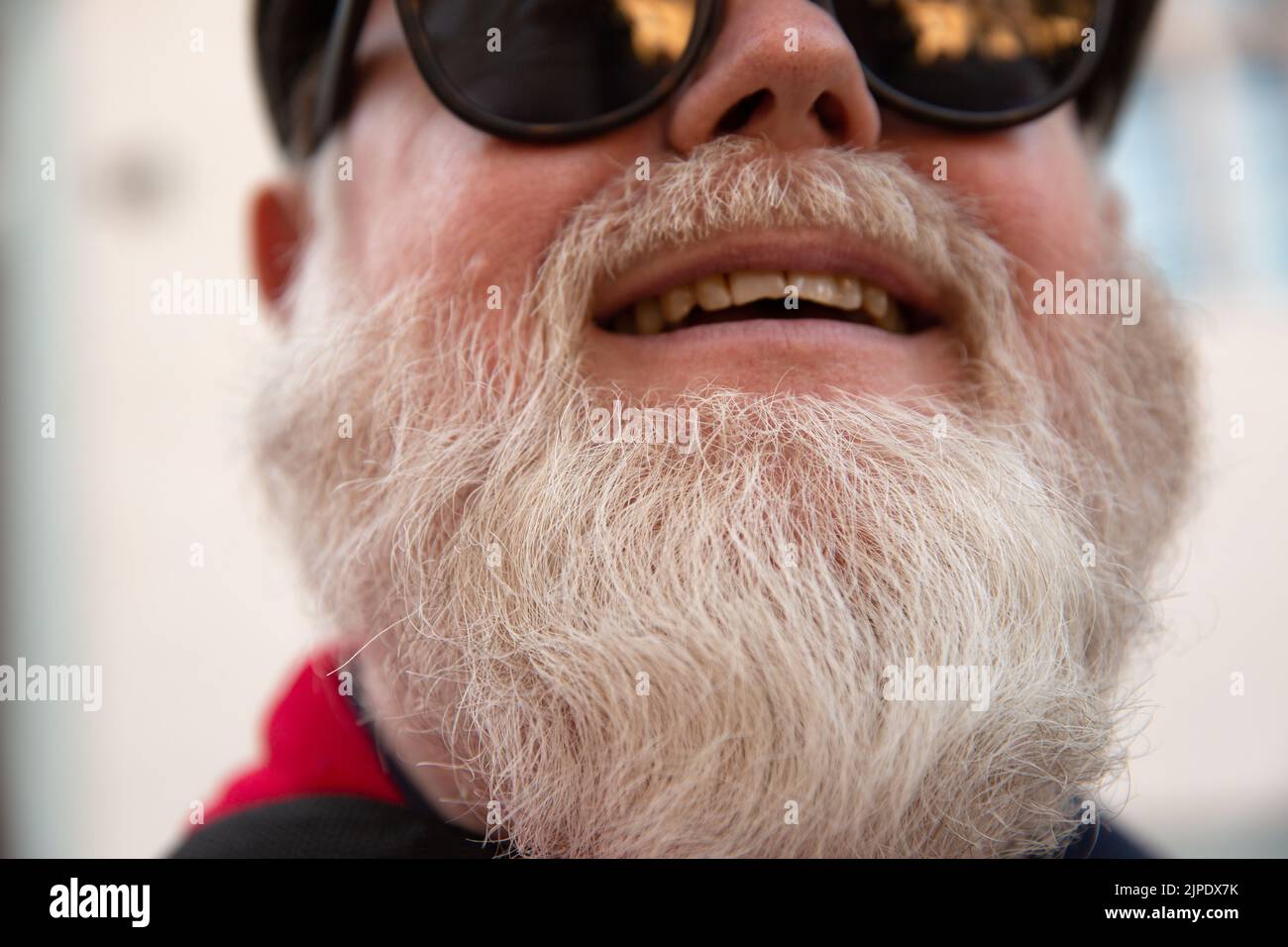 facial hair, beard, white hair, facial hairs, beards, white hairs Stock Photo