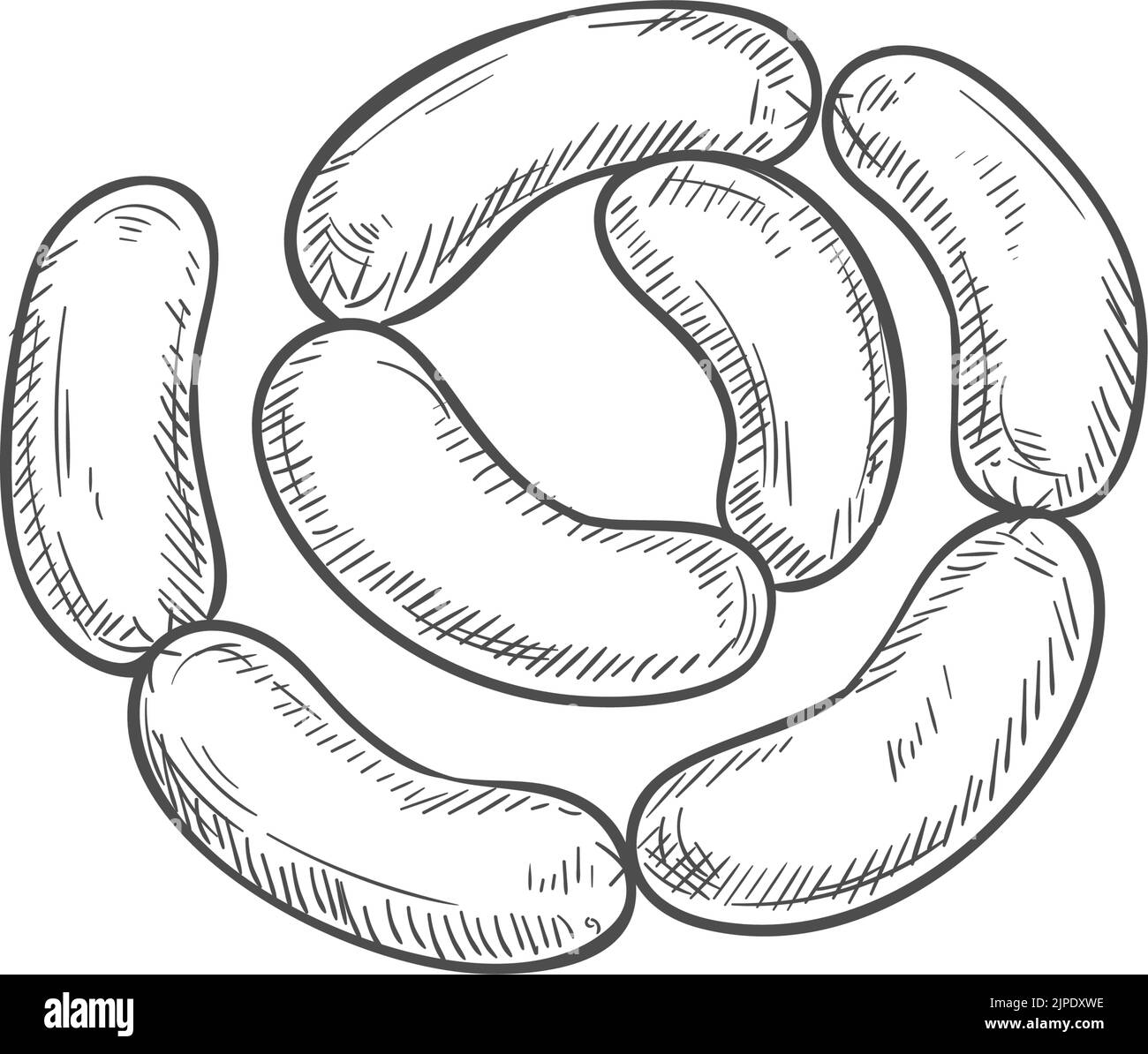Chain sausages Stock Vector Images Alamy