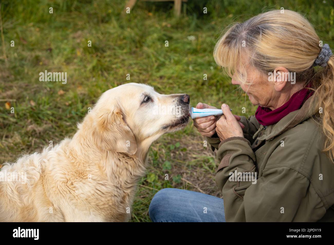 feeding, trust, tube, golden retriever, feed, feedings, trusts, tubes