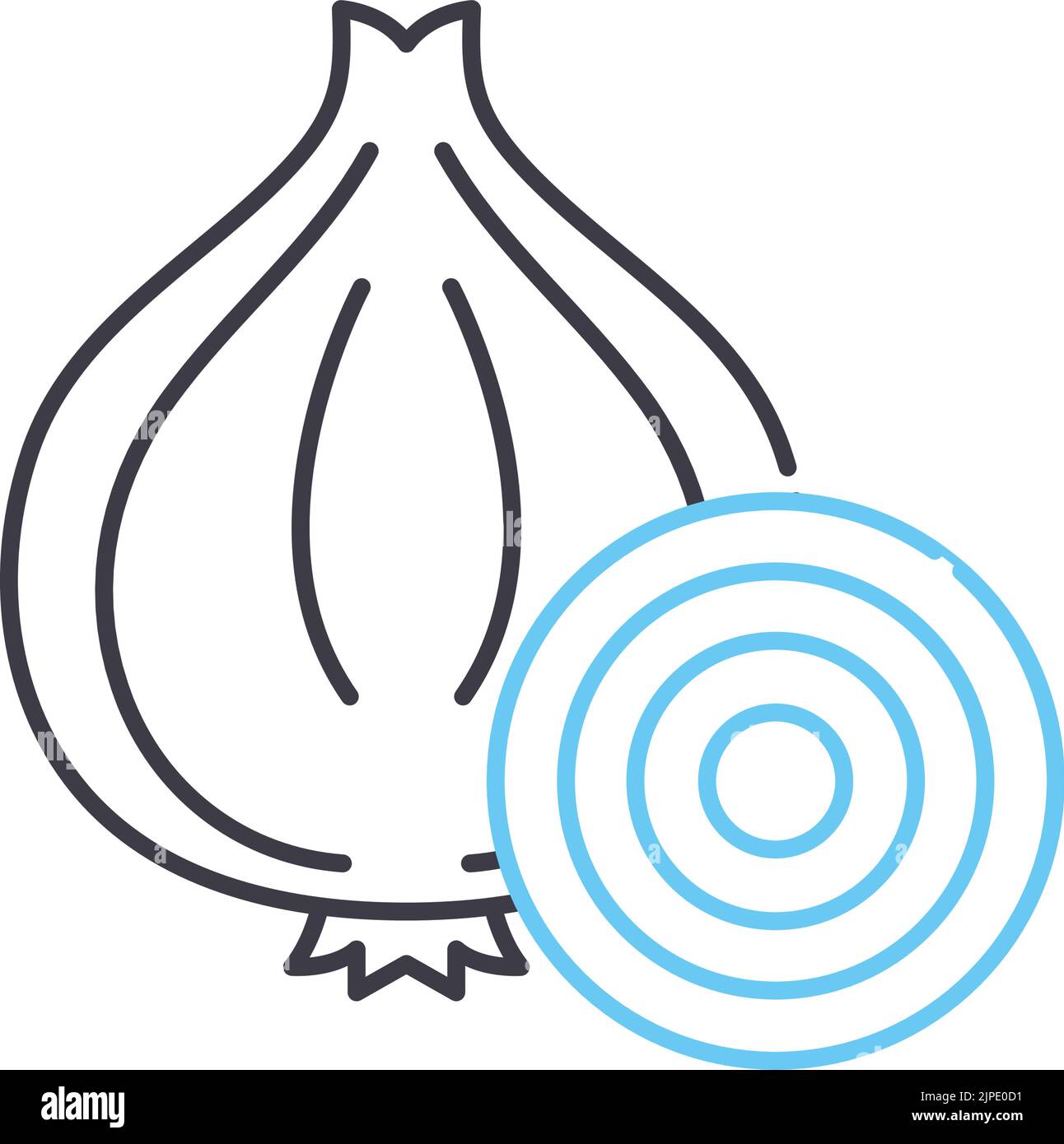 onion line icon, outline symbol, vector illustration, concept sign Stock Vector