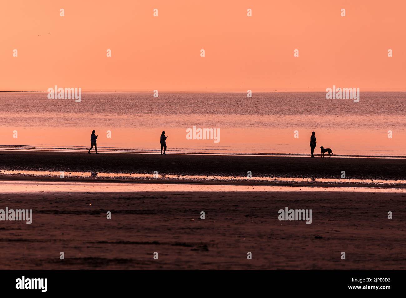 3 unidentifiable silhouettes of people and a dig on the shoreline of a beach at dusk. Stock Photo