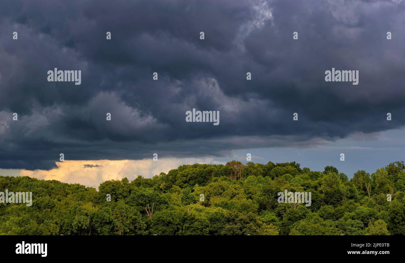 Storm clouds hoover over a canapy of decidious trees in rural Tennessee. Stock Photo