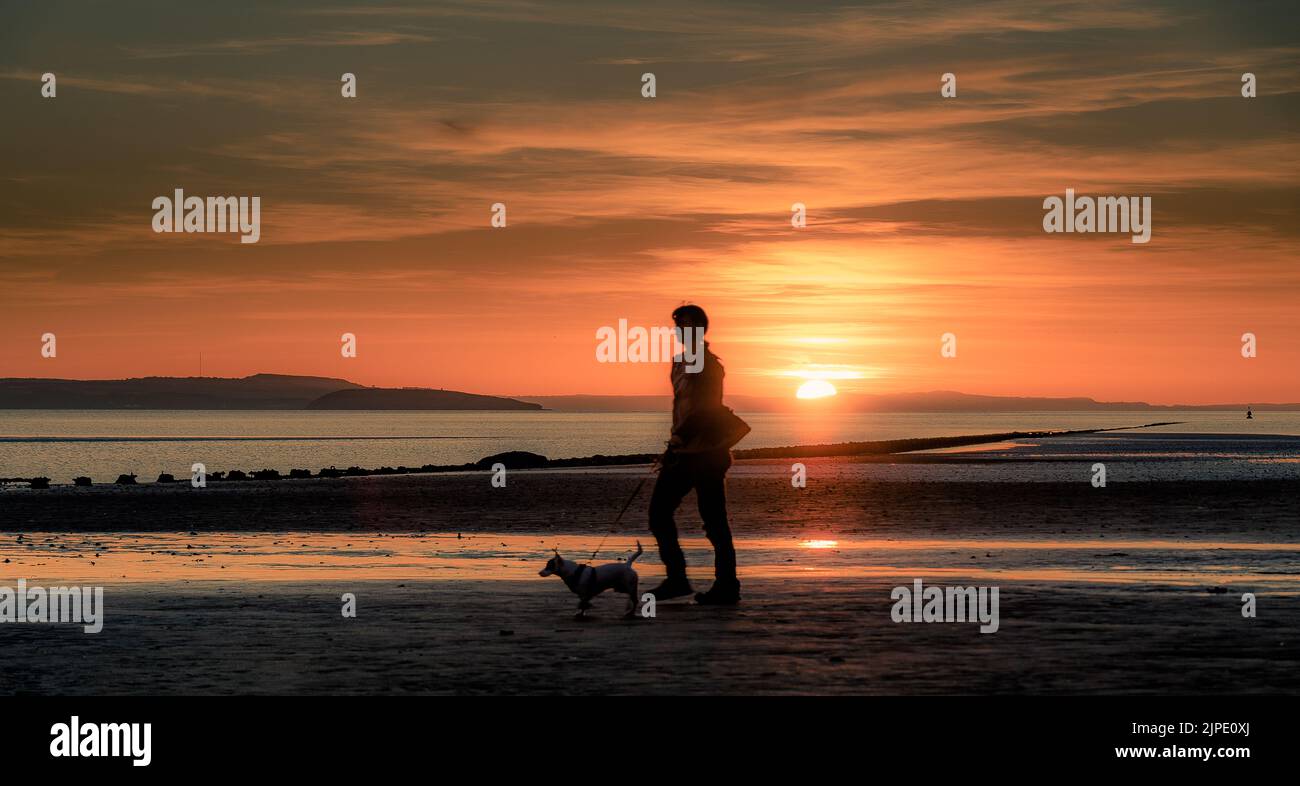 An unidentifiable silhouette of a person walking their dog on a beach ...