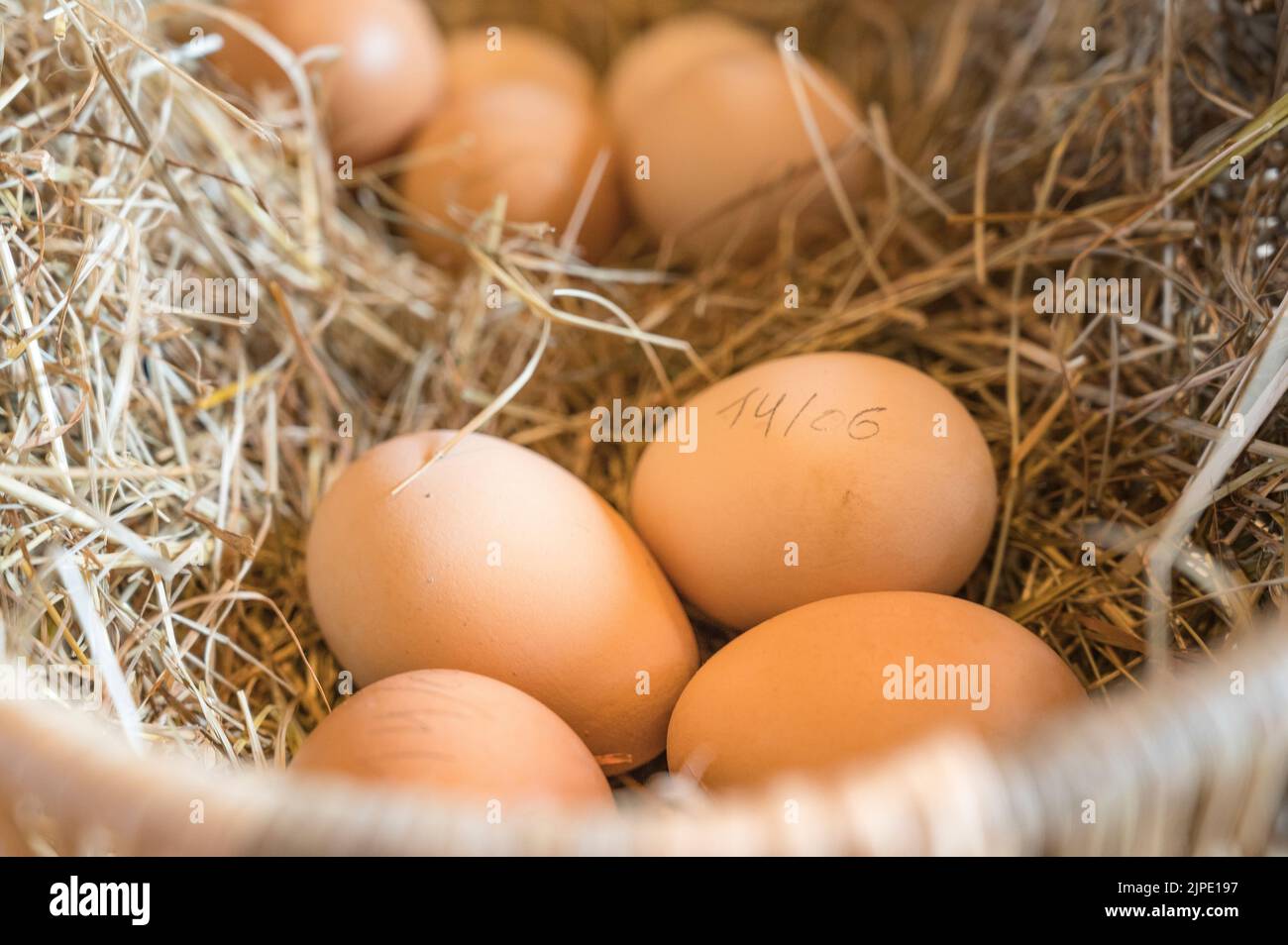 Fresh farm eggs sold by Château de Sully in Burgundy, France Stock Photo