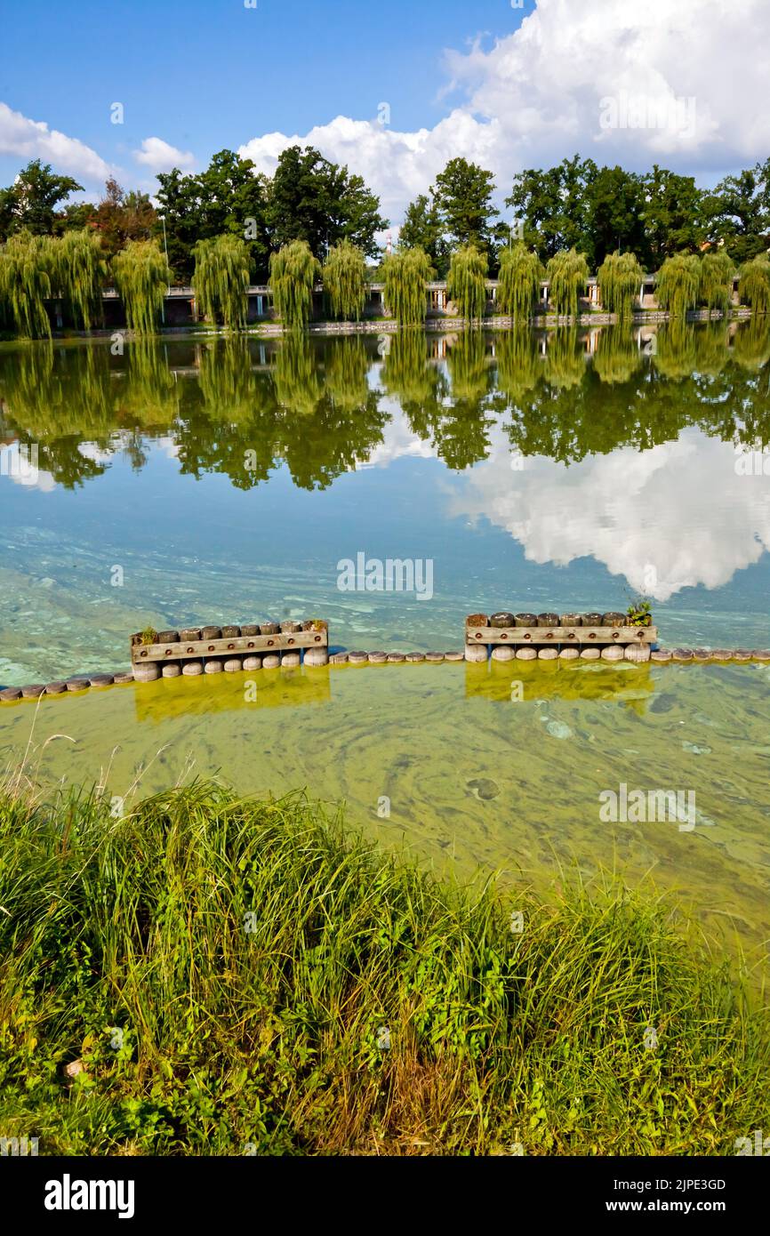 lake, tábor, tabor, lakes Stock Photo Alamy