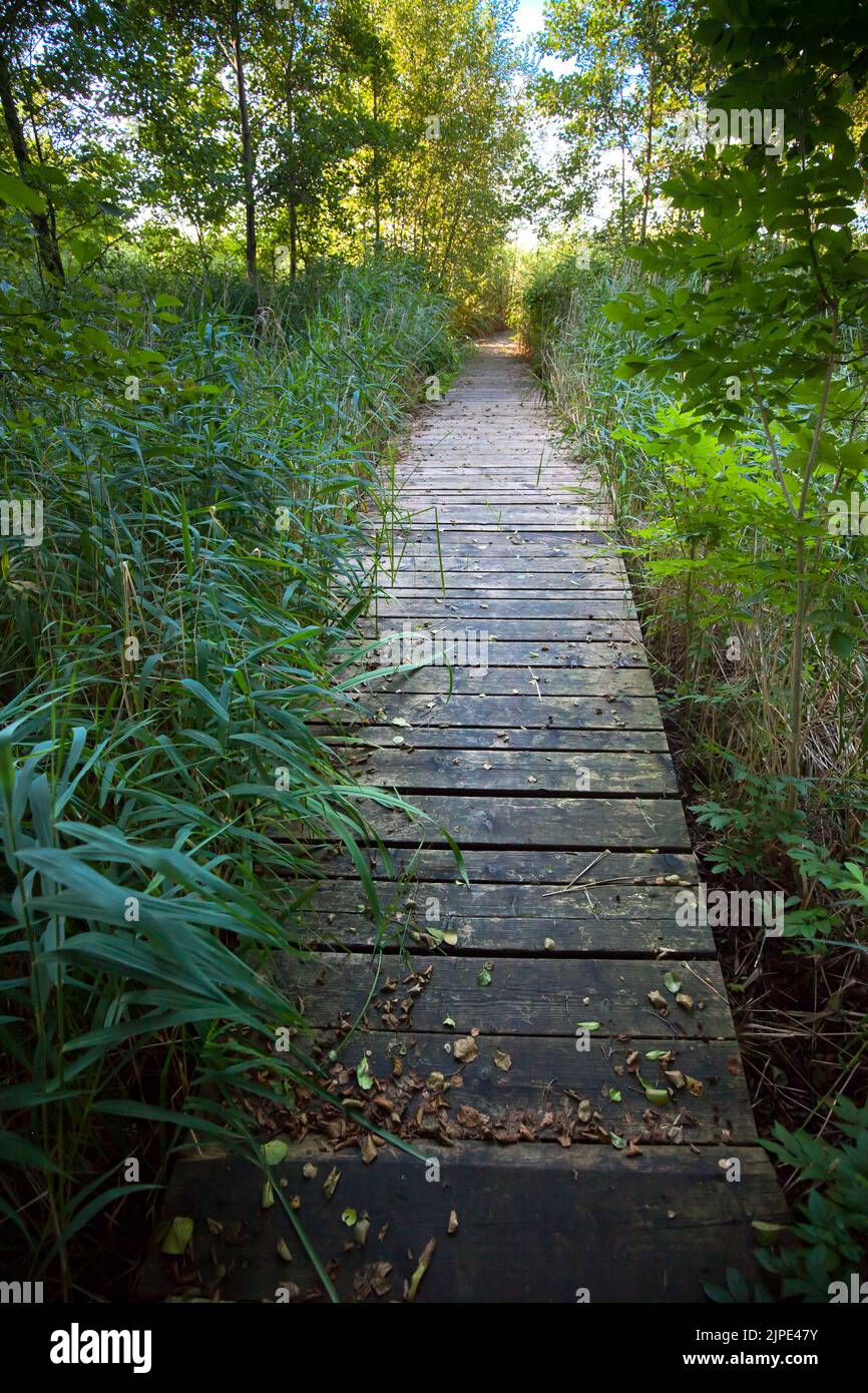 lake, pier, access, lakes, piers, accesses Stock Photo Alamy