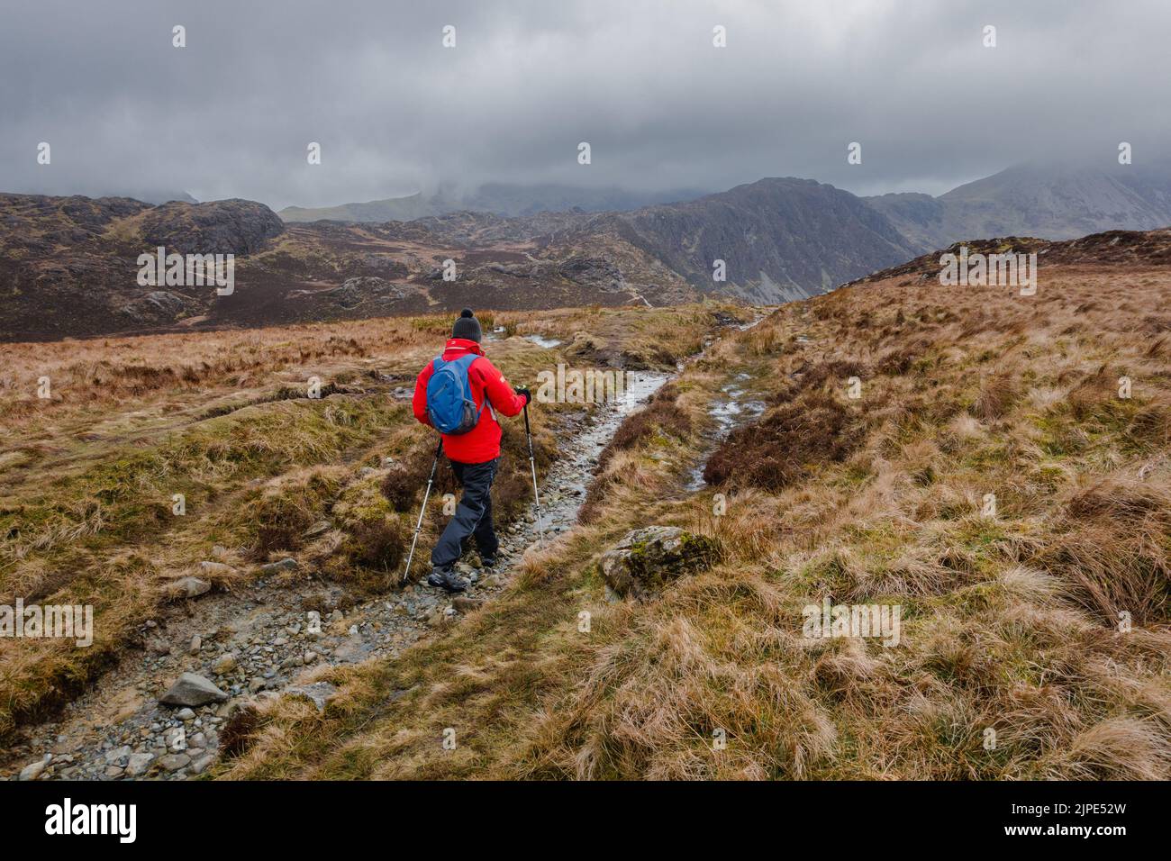 Person wearing full waterproof gear and a rucksack from Fleetwith Pike towards Haystacks and High Crag, Lake District National Park, Cumbria, England, Stock Photo