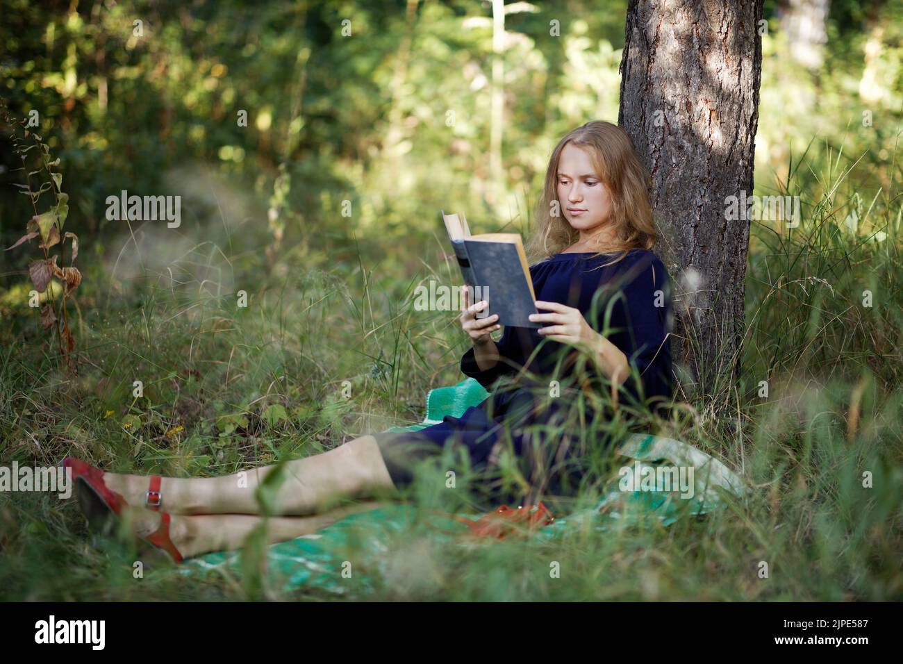 The girl reads a book in a park sitting under a tree. Shallow focus. Stock Photo