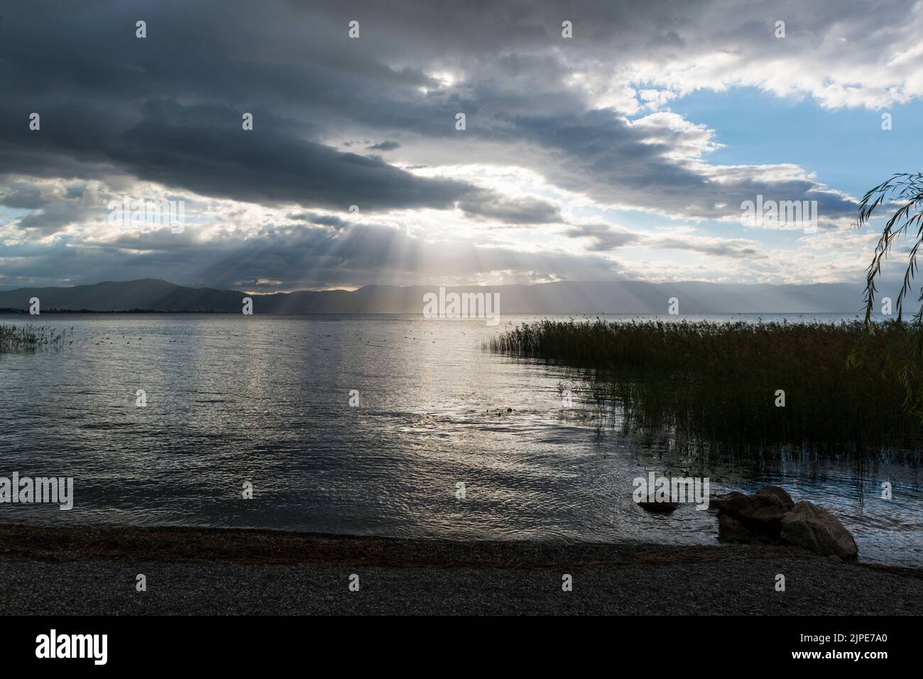 Sun behind the clouds over the reed-covered shore of Lake Ohrid, North Macedonia, Europe Stock Photo