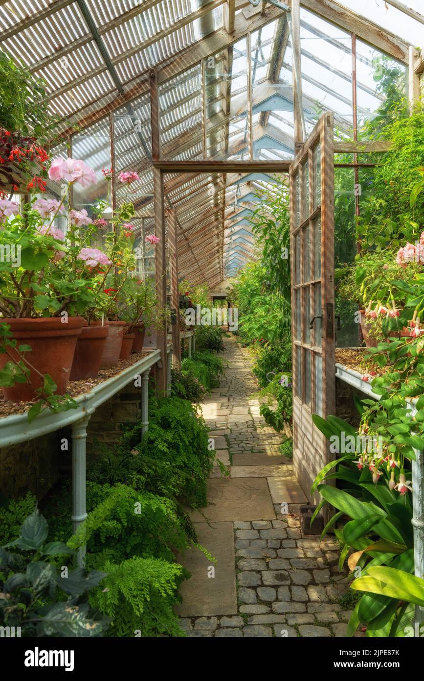 A well-tended greenhouse full of many plant varieties Stock Photo