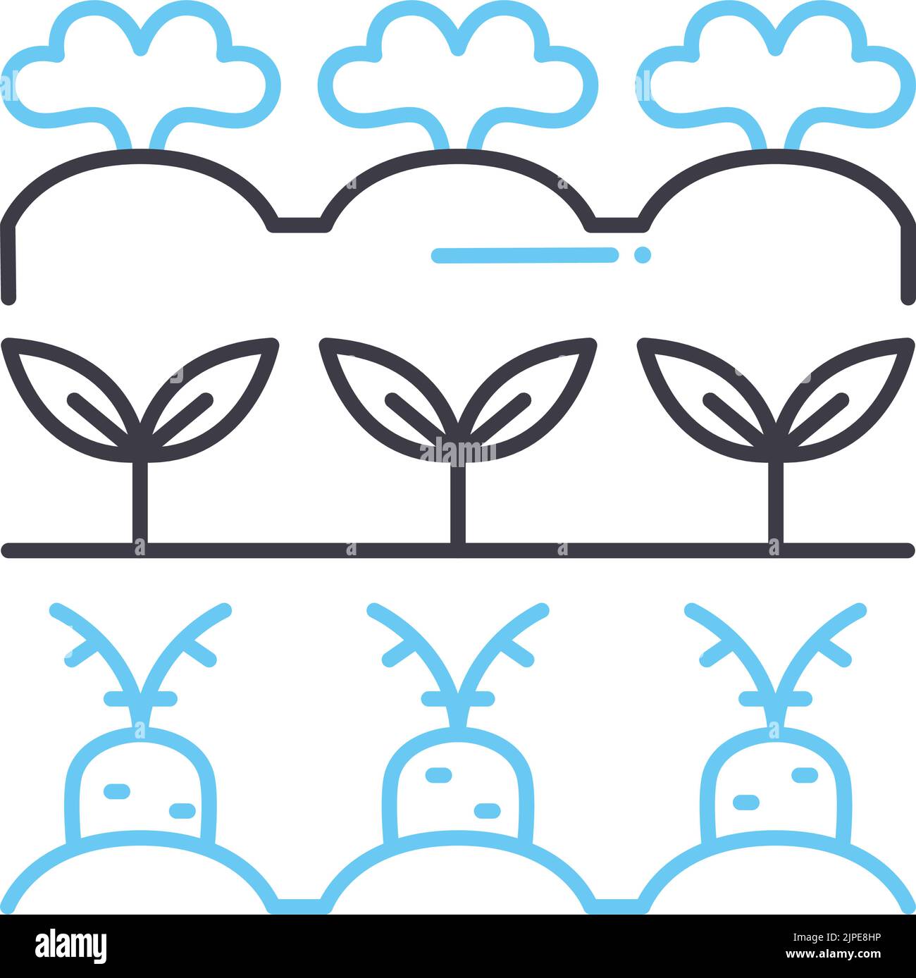 vegetable farm line icon, outline symbol, vector illustration, concept ...