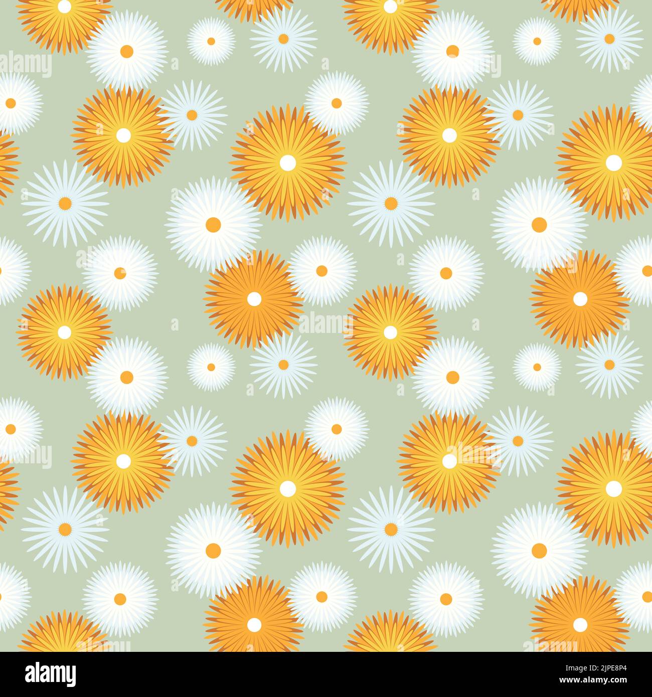 Chamomile calendula marigold pattern floral. Vector illustration Stock Vector