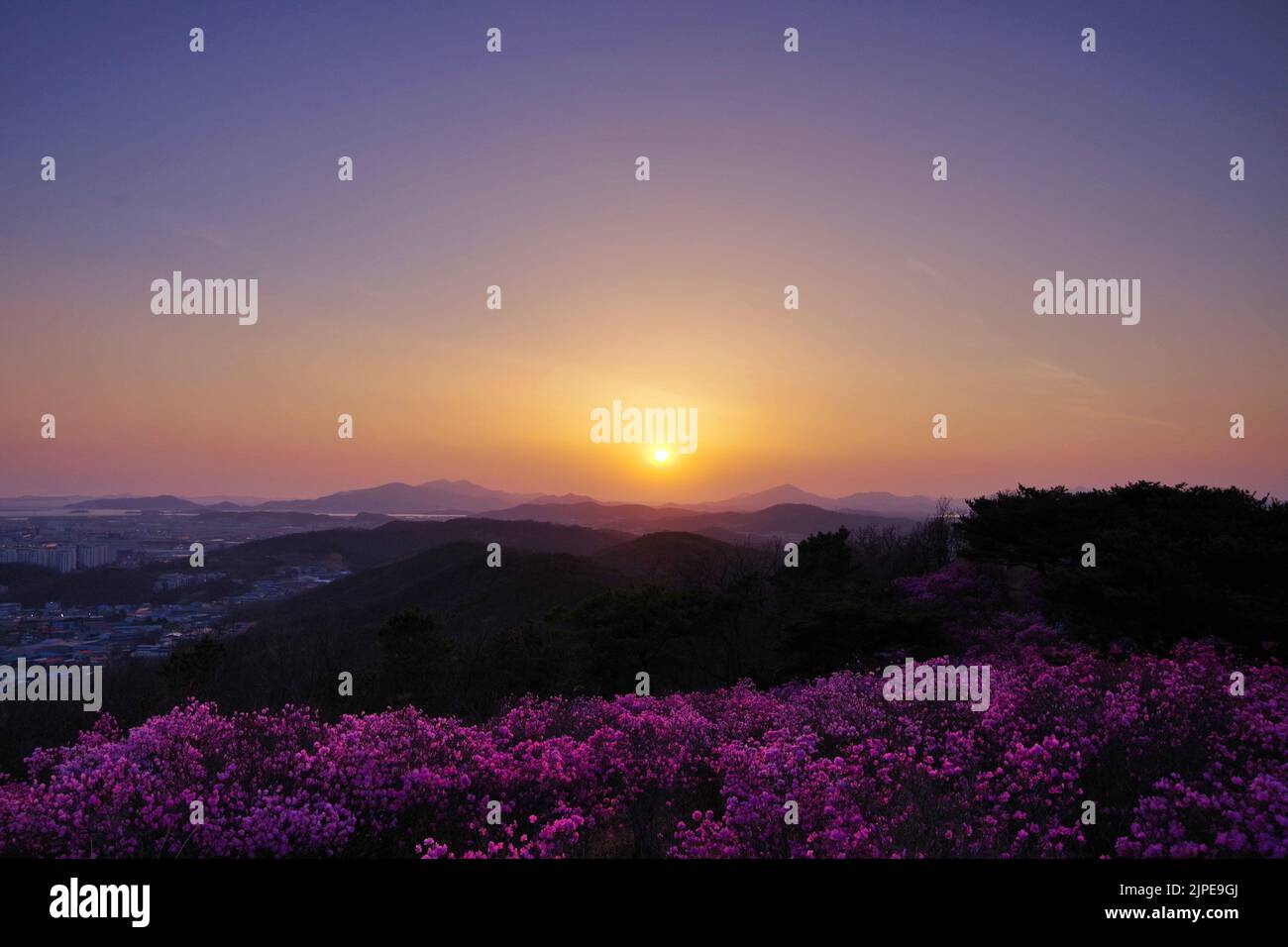 sunset in korea Stock Photo Alamy