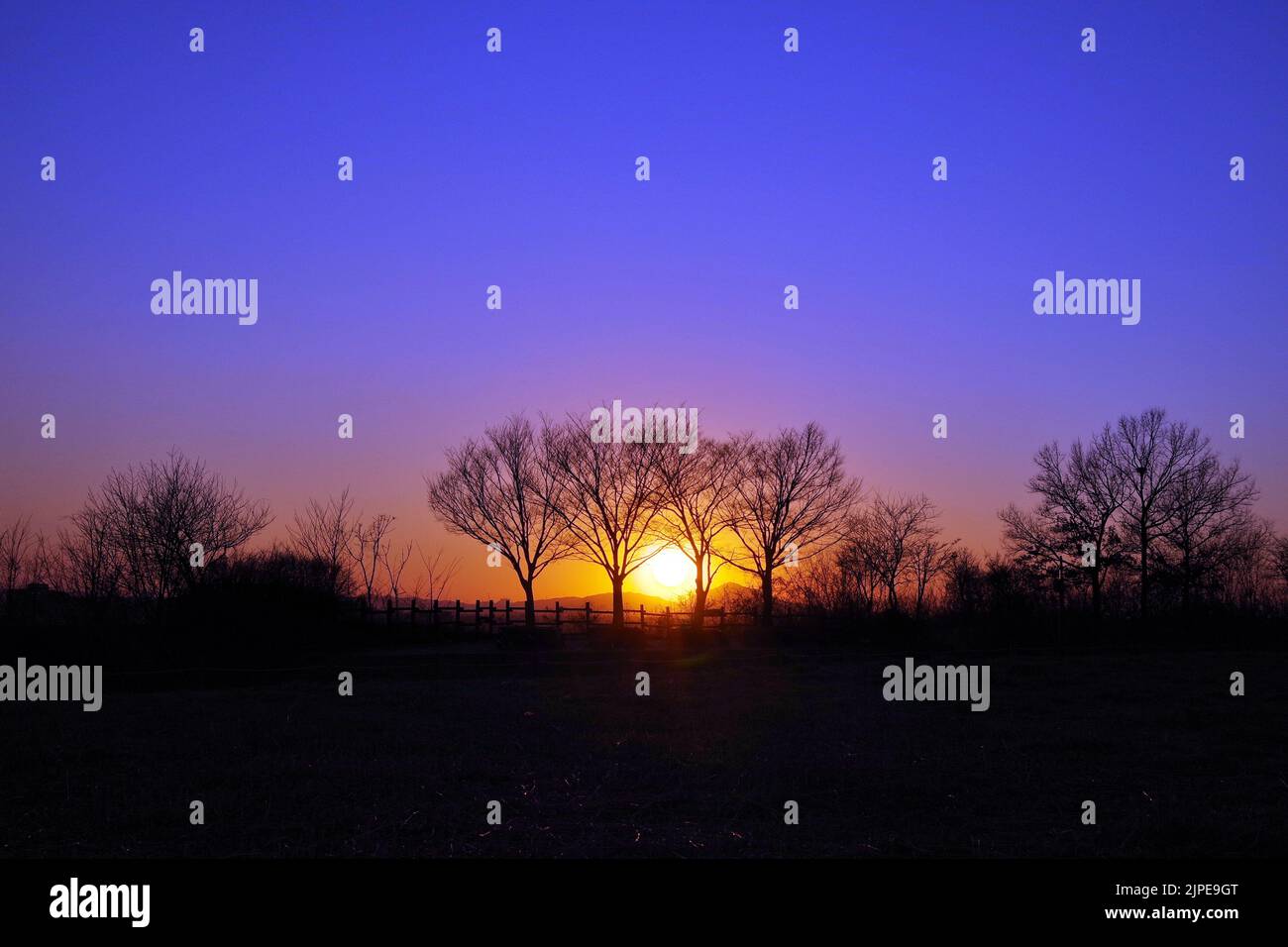 sunset in korea Stock Photo Alamy