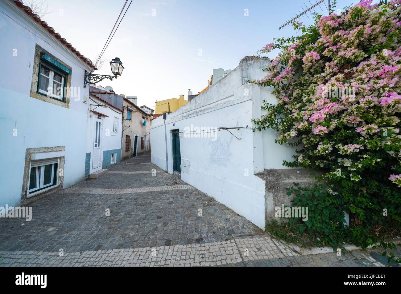 Charming narrow cobblestone street with whitewashed houses and blooming ...