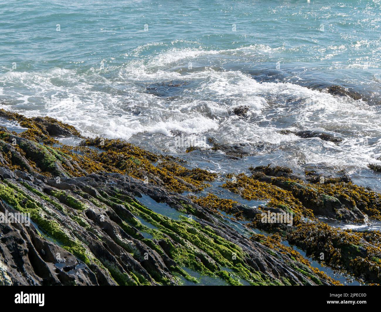 Foam on the waves and coastal rocks. Seaweed on rocks, landscape. Green moss on rock near body of water Stock Photo